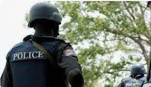 Adamawa police detain 58 suspected criminals