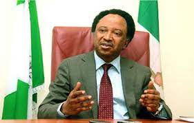 Address the issue of minimum wage to prevent strikes, Shehu Sani advises FG